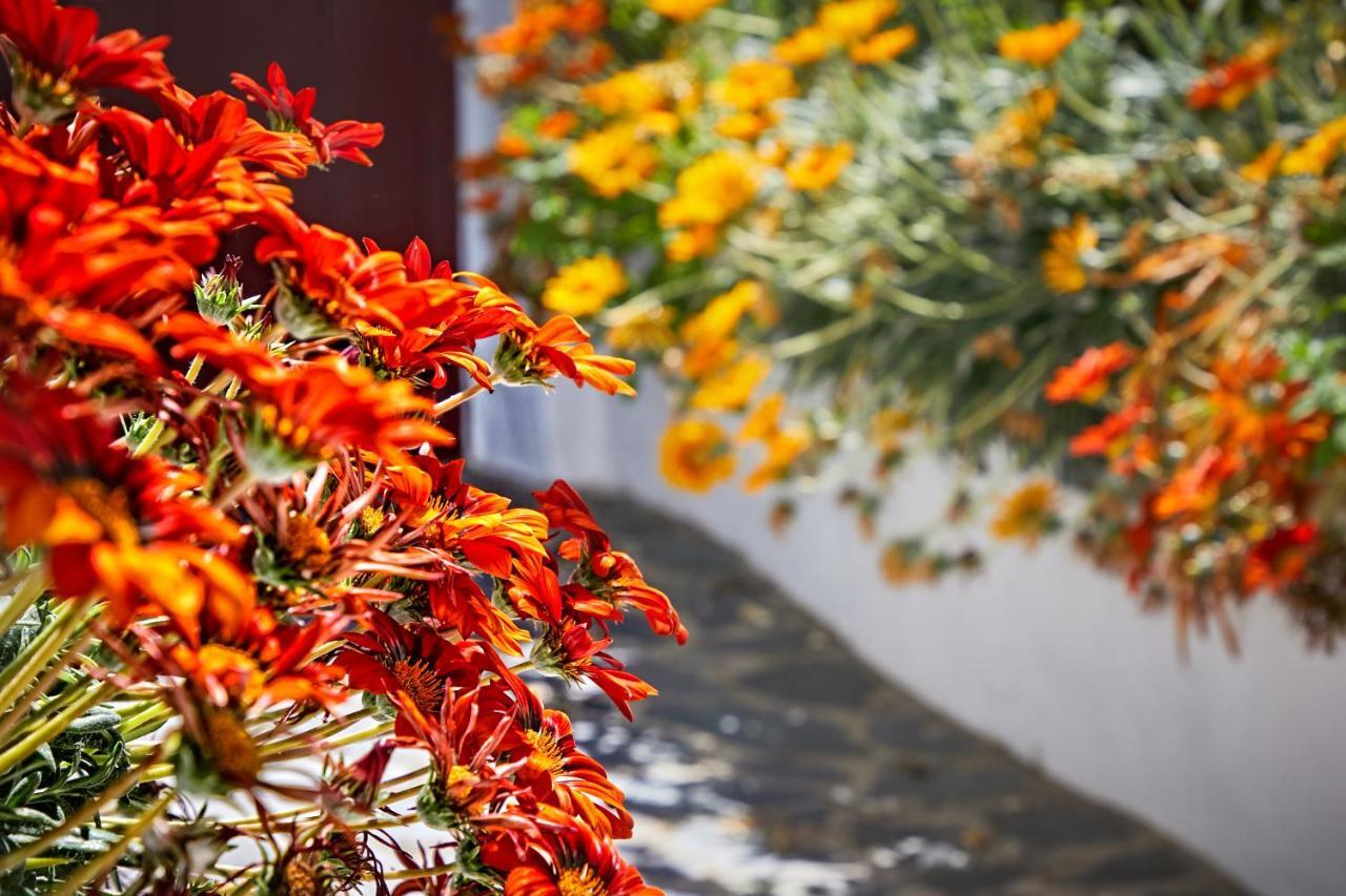 Vila Casa De Veiros - Estremoz Exteriér fotografie